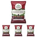 ORGANIC INDIA Aromatic, Anti-Oxidant Rich, Anti-Inflammatory and Good for Digestion Organic Mustard Seeds-100gm (Pack of 4)
