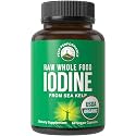 Organic Raw Whole Food Iodine Supplement from Kelp (Ascophyllum Nodosum)