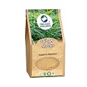 Organic Wellness Ginger Powder 75 grams Dry Ginger Powder/Adrak Powder