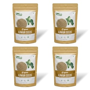 organic zing organic ajwain seeds  100 adulterant free and without preservatives  natural and chemical free ajwain seeds  organically grown  product of india - 227g pack of 4