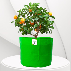 organicbazar premium 18x18 grow bags for home gardening hdpe 260 gsm pack of 1 big size grow bag