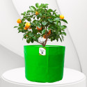 ORGANICBAZAR Premium 18"x18" Grow Bags for Home Gardening, HDPE 260 GSM (Pack of 1), Big Size Grow Bag