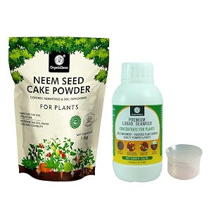 organicdews enriched neem seed cake powder 1 kg  liquid seaweed fertilizer 250 ml bio stimulant - plant growth enhancer soil conditioner increases soil fertility for indoor amp outdoor plants