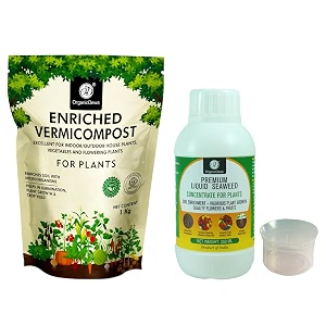 organicdews enriched vermicompost 1 kg  liquid seaweed fertilizer 250 ml bio stimulant - plant growth enhancer soil conditioner for indoor amp outdoor