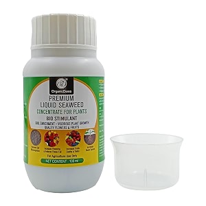 organicdews liquid seaweed concentrate for plants 100 ml with measuring cup 25 ml fertilizer for all indoor and outdoor plants