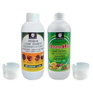 organicdews liquid seaweed extract amp amino acid fertilizer - 1 litre combo based bio stimulant concentrate measuring cup 25 ml - plant growth enhancer soil conditioner for indoor and outdoor