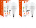 Orient Electric Eternal Emergency Lamp 25W - Cool White (Pack of 2) 4 hrs Bulb Emergency Light