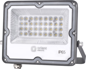 Orient Electric LED100WFL-30KIP65D Flood Light Outdoor Lamp
