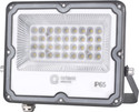 Orient Electric LED100WFL-30KIP65D Flood Light Outdoor Lamp