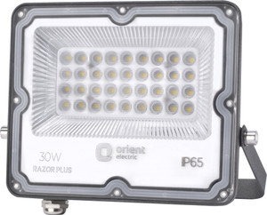 Orient Electric LED30WFL-30KIP65D Flood Light Outdoor Lamp