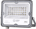 Orient Electric LED30WFL-30KIP65D Flood Light Outdoor Lamp
