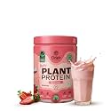 Origin Nutrition Plant Protein | Strawberry Delight | Tastes Like real Strawberry | 25g Pea &amp; Pumpkin Seed Blend | All Essential Amino Acids | Gut-Friendly, No Bloat | Clean, Vegan, Lab-Tested | 7 Servings, 278g Jar