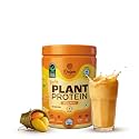 Origin Nutrition Vegan Plant Protein Powder, Mango Mania Flavour with 25g per serve Plant-Based Protein, Gluten Free, Soy Free, Dairy Free, No Added Sugar, Soy Free, Non - GMO, 7 Servings, 288g