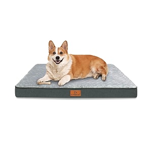 Orthopedic Dog Bed Medium Size Waterproof