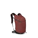 Osprey Sportlite 20L Lightweight Hiking Backpack with Hydraulics Reservoir for Men and Women, Acorn/Bonsai