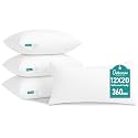 Oubonun 12 x 20 Throw Pillow Inserts Set of 4