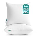 Oubonun 24 x 24 Throw Pillow Inserts