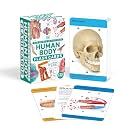 Our World in Pictures Human Body Flash Cards