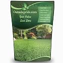 Outsidepride Oasis Bermuda Grass Seed - 10 lbs Warm Season, High Traffic, Heat Resistant, Drought-Tolerant, Low-Maintenance, Fast Growing Turf Grass for Lawn, Ideal for Sunny Areas, Thick Coverage