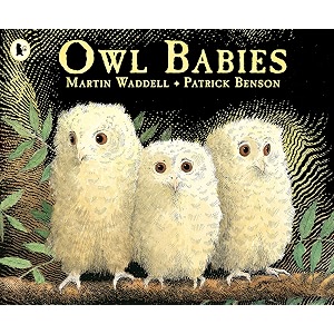 owl babies a beloved classic from the recipient of an post irish book awards bob hughes lifetime achievement award