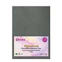 Oytra Polymer Clay 125 Grams Signature for Jewellery Earrings Making Oven Bake (Grey)