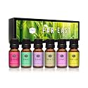 P&amp;J Fragrance Oil Far East Set | Ylang Ylang, Green Tea, Lotus Blossom, Orchid, Bamboo, and Peony Candle Scents for Candle Making, Freshie Scent, Soap Making Supplies, Diffuser Oil Scents
