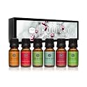 P&amp;J Fragrance Oil Holiday Set for Christmas Home Decor | Mistletoe, Candy Cane, Wintermint, Apple Cider, Cranberry, and Forest Pine Candle Scents for Candle Making, Soap Making, Diffuser Oil Scent