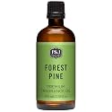 P&amp;J Trading - Forest Pine Scented Oil 100ml - Fragrance Oil for Candle Making, Soap Making, Diffuser Oil