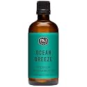 P&amp;J Trading Fragrance Oil | Ocean Breeze Oil 100ml - Candle Scents for Candle Making, Freshie Scents, Soap Making Supplies, Diffuser Oil Scents