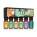 P&amp;J Trading Fragrance Oil Tranquil Set | Vanilla, Cucumber Melon, Lavender, Amber, Bamboo, and Ocean Breeze Candle Scents for Candle Making, Freshie Scents, Soap Making Supplies, Diffuser Oil Scents