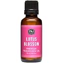 P&amp;J Trading Fragrance Oil | Lotus Blossom Oil 30ml - Candle Scents for Candle Making, Freshie Scents, Soap Making Supplies, Diffuser Oil Scents