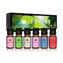 P&amp;J Trading Fragrance Oils for Diffusers for Home Spring Set Fragrance Scents for Candle Making - Soap Making - Car Diffuser Scents - Essential Home Gift Set - Cherry Blossom, Fresh Cut Grass &amp; More