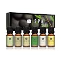 P&amp;J Trading Fragrance Oils for Diffusers for Home Spa Set Fragrance Scents for Candle Making - Soap Making Supplies - Car Diffuser Scents - Essential Home Gift Set - Aloe, Eucalyptus &amp; More