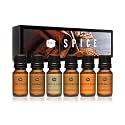 P&amp;J Trading Fragrance Oils for Diffusers for Home Spice Set Fragrance Scents for Candle Making - Soap Making Supplies - Car Diffuser Scents - Essential Home Gift Set - Apple Cider, Cinnamon &amp; More