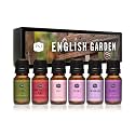P&amp;J Trading Fragrance Oils for Diffusers for Home English Garden Set Fragrance Scents for Candle Making - Soap Making - Car Diffuser Scents - Essential Home Gift Set - Fig, Honeysuckle Vine &amp; More