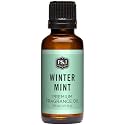 P&amp;J Trading - Winter Mint Scented Oil 30ml - Fragrance Oil for Candle Making, Soap Making, Diffuser Oil