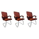 P P CHAIR Comfortable Seating Solution for Offices, Waiting Rooms, and Homes Without Wheel Chair Indoor &amp; Outdoor Chair (3, Brown, S Type Frame)
