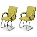Comfortable Seating Solution for Offices, Waiting Rooms, and Homes Without Wheel Chair Indoor &amp; Outdoor Chair (2, Green, Double Pipe Chrome Steel Frame)
