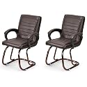 P P CHAIR Comfortable Seating Solution for Offices, Waiting Rooms, and Homes Without Wheel Chair Indoor &amp; Outdoor Chair (2, Coffee, Copper Polished)
