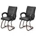 P P CHAIR Comfortable Seating Solution for Offices, Waiting Rooms, and Homes Without Wheel Chair Indoor &amp; Outdoor Chair (2, Black, Copper Polished)