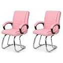 Comfortable Seating Solution for Offices, Waiting Rooms, and Homes Without Wheel Chair Indoor &amp; Outdoor Chair (2, Pink, Double Pipe Chrome Steel Frame)
