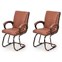 Comfortable Seating Solution for Offices, Waiting Rooms, and Homes Without Wheel Chair Indoor &amp; Outdoor Chair (2, Brown, Copper Polished)