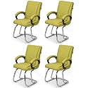 Comfortable Seating Solution for Offices, Waiting Rooms, and Homes Without Wheel Chair Indoor &amp; Outdoor Chair (4, Green, Double Pipe Chrome Steel Frame)