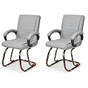 P P CHAIR Comfortable Seating Solution for Offices, Waiting Rooms, and Homes Without Wheel Chair Indoor &amp; Outdoor Chair (2, Grey, Copper Polished)