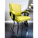 Comfortable Seating Solution for Offices, Waiting Rooms, and Homes Without Wheel Chair Indoor &amp; Outdoor Chair (1, Green, Powder Coated Double Pipe Frame)