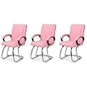 P P CHAIR Comfortable Seating Solution for Offices, Waiting Rooms, and Homes Without Wheel Chair Indoor &amp; Outdoor Chair (3, Pink, Double Pipe Chrome Steel Frame)