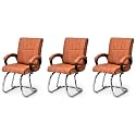 Office Exclusive Chair Heavy Duty Metal Frame Home Office Visitor Study Desk Chair (3, Brown, Double Pipe Chrome Steel Frame)