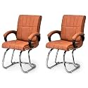 Office Exclusive Chair Heavy Duty Metal Frame Home Office Visitor Study Desk Chair (2, Brown, Double Pipe Chrome Steel Frame)