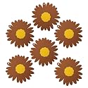 P-Plus International Silicone Trivet Mat Hot Pads Non-Slip &amp; Heat Resistant Modern Sunflower Trivet Kitchen Hot Pads Placemats Kitchen Insulation Coaster (Set of 6, Brown)