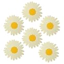 P-Plus International Silicone Trivet Mat Hot Pads Non-Slip &amp; Heat Resistant Modern Sunflower Trivet Kitchen Hot Pads Placemats Kitchen Insulation Coaster (Set of 6, White)